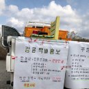 재미농장 티스토리