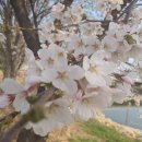 경기둘레길 안성43코스 이미지