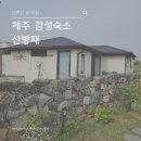썬앤문비 | 제주 산방산 감성숙소 ‘산방재’ 3박4일 가족숙소 후기
