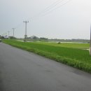 민들레공인중개사사무소 이미지