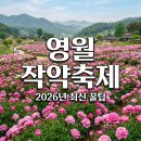 영월군청 | 2026 영월 작약축제 상동 실시간 개화상황, 주차 및 인생샷 명소 3곳 완벽정리