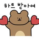 고고펫살롱 네이버블로그