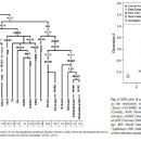 High levels of Paleolithic Y-chromosome lineages characterize Serbia- 2012 이미지