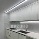 비버인테리어