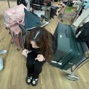 스튜디오하숙 | [필독]미국인턴 J1비자 합격 후 출국 준비 타임라인 1편 (항공권, 임시숙소, 보험)
