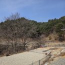 광석로 | 홍천 애견캠핑장 추천! 반려견과 함께 다녀온 드루왈캠핑장 솔직 방문 후기