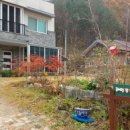 곰배령 팜스테이 이미지