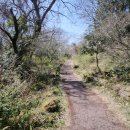 서광동리 이미지