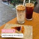 성환1로 | [천안 성환] 반려동물동반 디저트맛집 신상카페, ‘하레브라도’ 내돈내산 후기