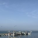 저스트슬립호텔 서산대산점 | 충남 서산 여행 배에서 회 떠주는 선상횟집 삼길포항 (왜목항이랑 비교), 초장집 추천 내돈내산