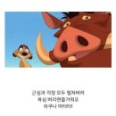 하쿠나마타타 이미지