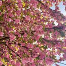 완산-124 이미지