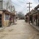 군산오징어 이미지