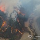 강릉ㆍ울진ㆍ삼척 산불진압은 언제 이미지