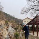 경언농장 네이버블로그