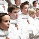 파리나무십자가 소년합창단 이미지