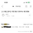 월클쏜 [하프타임 규정 위반] [주의+경고] uobWgvA4QB10 이미지