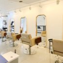 살롱드 메르시 이미지