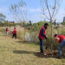 수원-1776 이미지