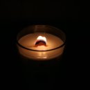 소이가든 이미지