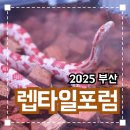 아이와 함께 방문하기 좋은 2025 부산 렙타일포럼