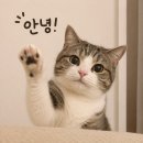 진주제일중학교 | 창원/마산 타투제거 두피 헤어라인 문신 제거 1~4회차 후기!