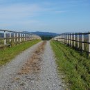 신촌여인숙 이미지