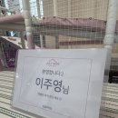 칠월키즈풀빌라 남해선구점 | 남해 아이와 키즈풀빌라 오션뷰 숙소 추천 칠월키즈풀빌라 남해선구점 숙박 후기