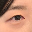 [위례속눈썹] 성남 프로젝트채움 짧은 속눈썹펌 만족 후기