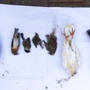 인천양지초등학교 이미지