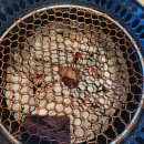 GS25 양주본점 이미지