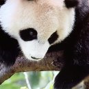 면허시험장 이미지