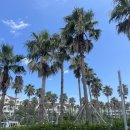 함덕튼튼의원 이미지