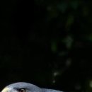 구포한의원 이미지