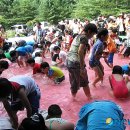 김기준농장 이미지