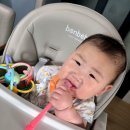 우리아기 첫 식사 준비, 가성비 끝판왕 본베베 하이체어 내돈내산 후기! 👶✨💖🍭🌈