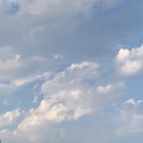 데일리 멍키친 이미지