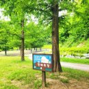 늘솔길공원화장실 이미지