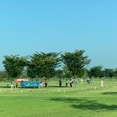 고양한강평화공원 - 생활축전 파크골프대회 장소 임시지정 이미지