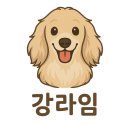 (주)키친모아 | [내돈내산] 디어커스 뱀부 3겹 천연펄프 화장지 키친타월 추천 실사용 후기