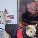 손큰할매순대국 평택서동대로점 이미지