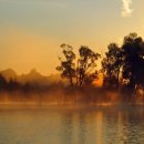 정(情) - 사랑과 이미지