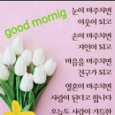 참좋은인연