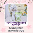 강아지는 키위를 먹어도 될까 멍멍이대학 강아지간식 키위유