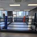 팀 몬스터 복싱 | 옥길동복싱, 천왕동복싱, 항동복싱. 키즈복싱은 여기가 전문:) 팀몬스터복싱 옥길점