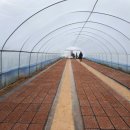 송화네민박 이미지