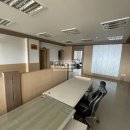 사파동100 이미지