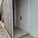 돌담연가 | 제주도동쪽펜션 감성 가득했던 돌담마당펜션 숙박 후기🏡