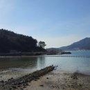 고성섬나들이 이미지