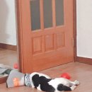 금광사랑채